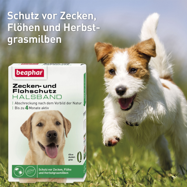 Beaphar Zecken und Flohschutz Halsband fuer Hunde 1